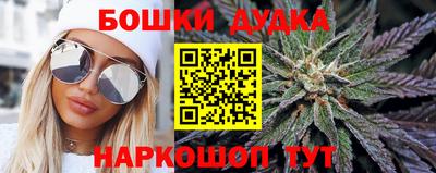 мяу мяу мука Нальчик