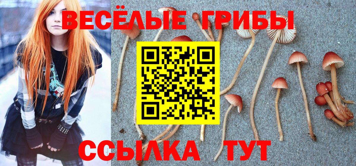 ЭКСТАЗИ  Мефедрон  A PVP СК кристаллы  Меф МЯУ МЯУ   Россия  Вход с VPN  Лсд 25  МЕТАМФЕТАМИН  МАРИХУАНА  Гашиш 