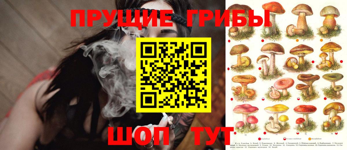 Галлюциногенные грибы MAGIC MUSHROOMS Россия