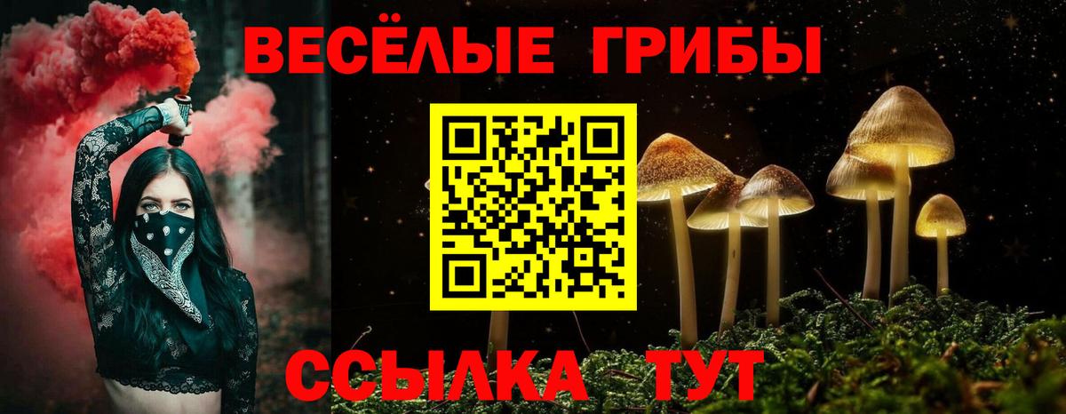 Галлюциногенные грибы ЛСД  Вход с VPN  Псилоцибиновые грибы ЛСД  Россия 